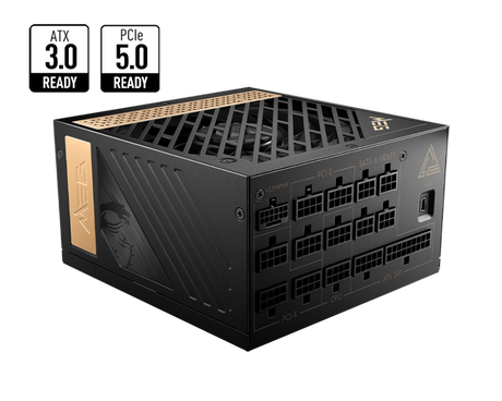 MSI Desktop PC Netzteil ATX 1300Watt 80 Plus Platinum MEG Ai1300P PCIE5