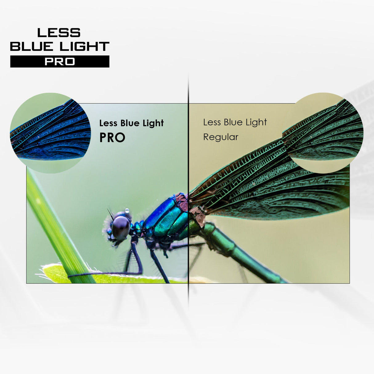 PRO MP243XW | MSI PRO Monitor