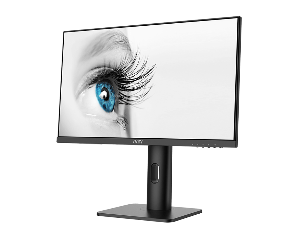 Écran PC bureautique | PRO MP243XP