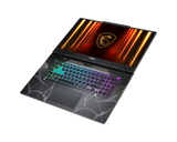 MSI Cyborg 17 B2RWFKG-010FR
