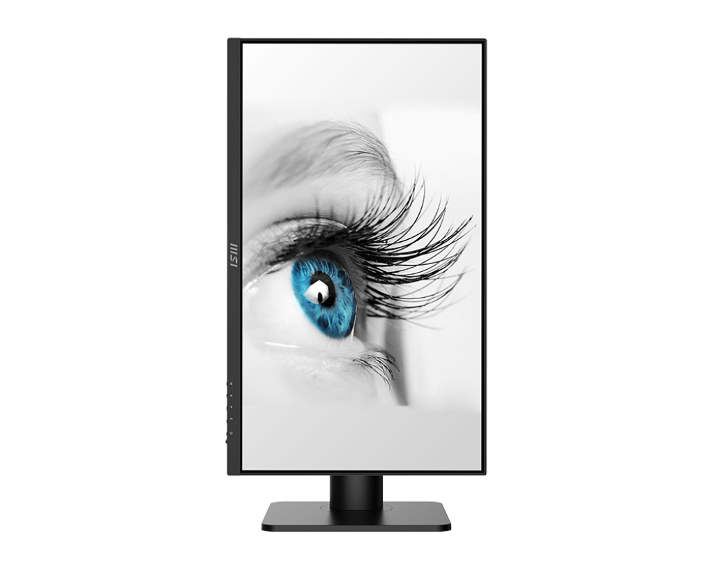 Écran PC bureautique | PRO MP243XP