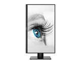 Écran PC bureautique | PRO MP243XP