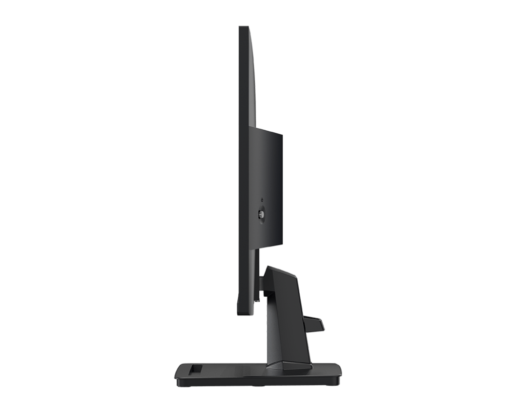 Écran PC bureautique | PRO MP251