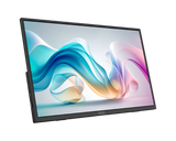 PRO MP165 E6 | MSI PRO Monitor