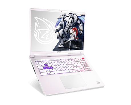 MSI Laptop Crosshair A16 HX MLG Edition E8WGK-095DEY