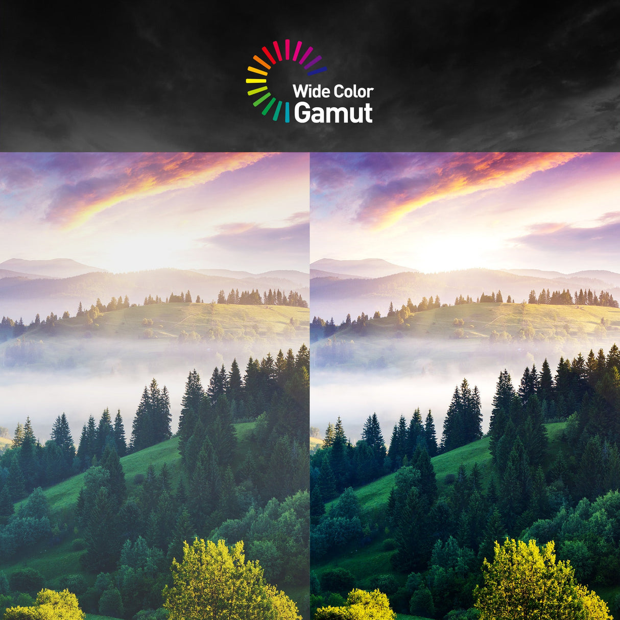 G32CQ4DE E2 | MSI eSport Gaming Monitor (hide)