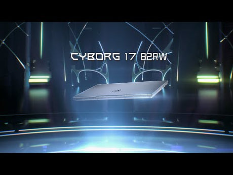 MSI Cyborg 17 B2RWFKG-010FR