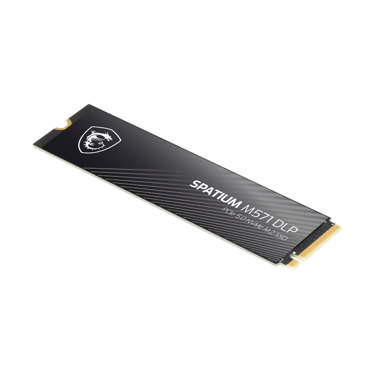 MSI SPATIUM M571 DLP PCIe 5.0 NVMe M.2 4TB | SSD