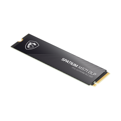 MSI SPATIUM M571 DLP PCIe 5.0 NVMe M.2 4TB | SSD