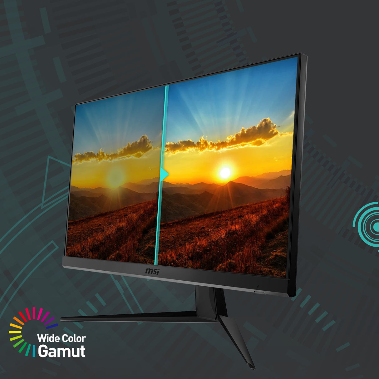 G2412F | MSI eSport Gaming Monitor